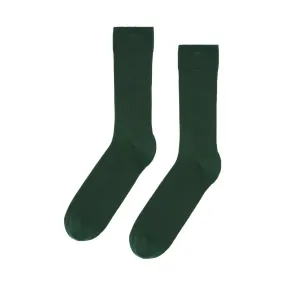 Colorful Classic Sock Emerald Green Mens