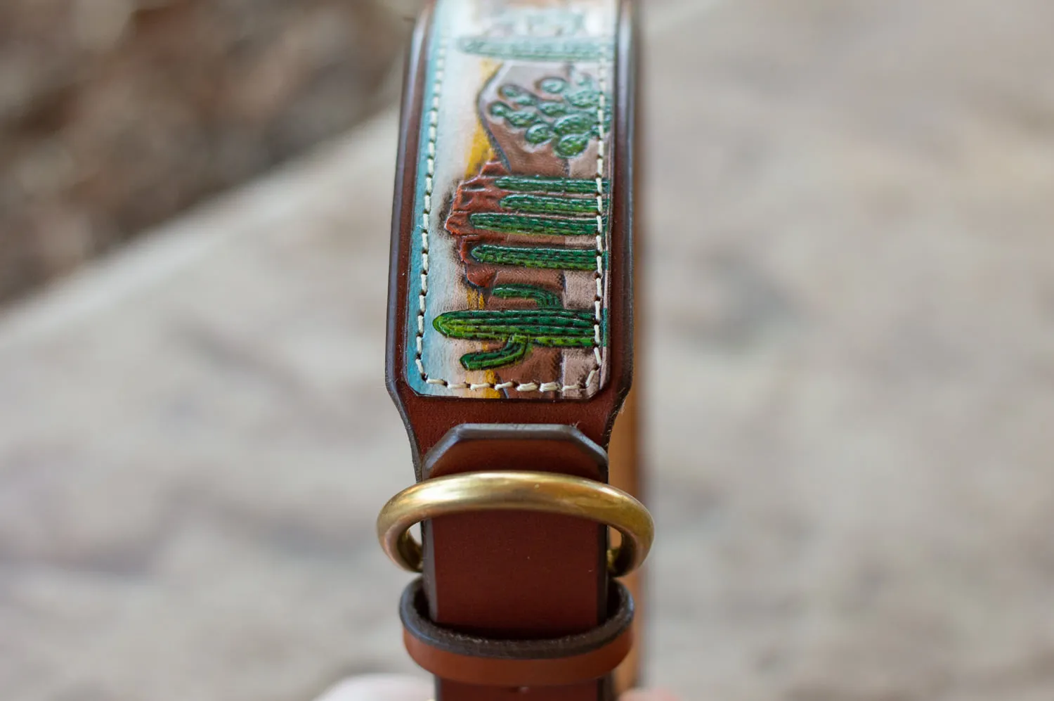 Desert & Cactus Dog Collar / Southwest Dog Collar