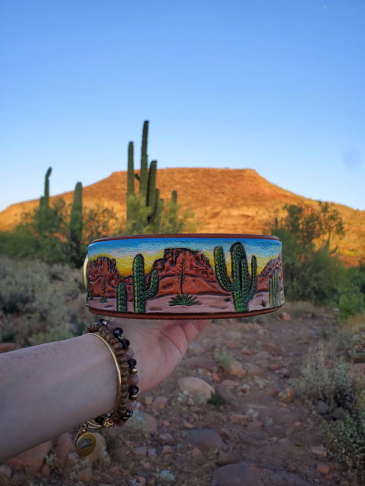 Desert & Cactus Dog Collar / Southwest Dog Collar