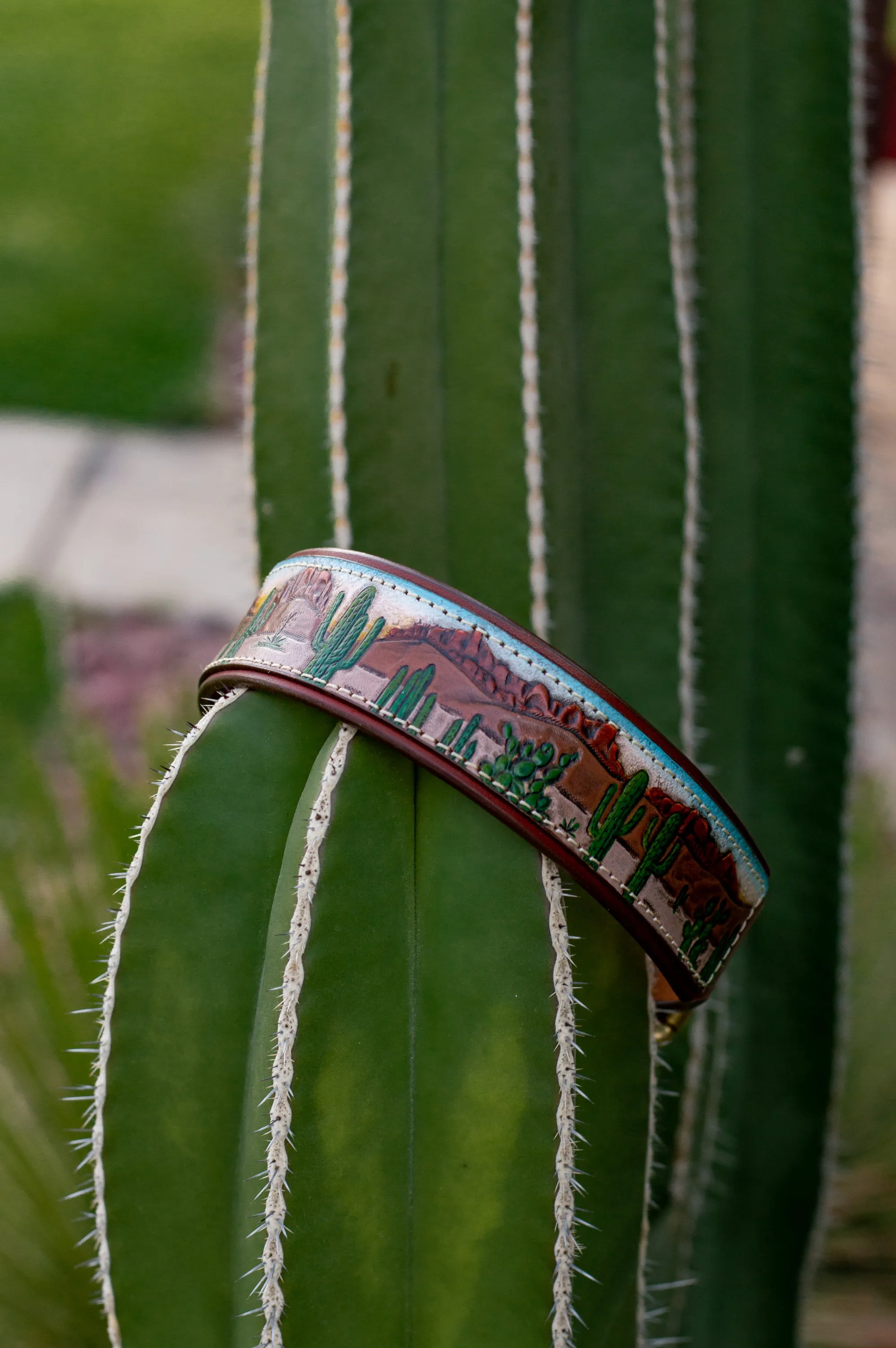 Desert & Cactus Dog Collar / Southwest Dog Collar