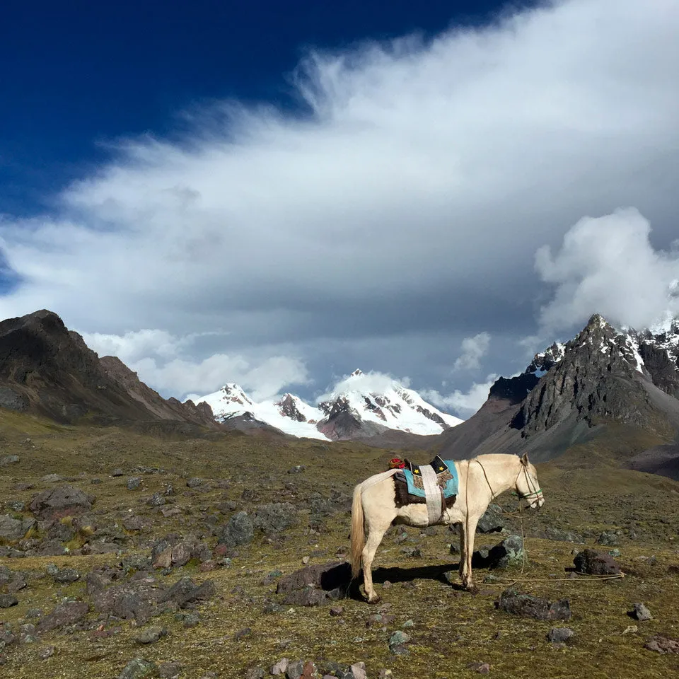 Glacier Ring