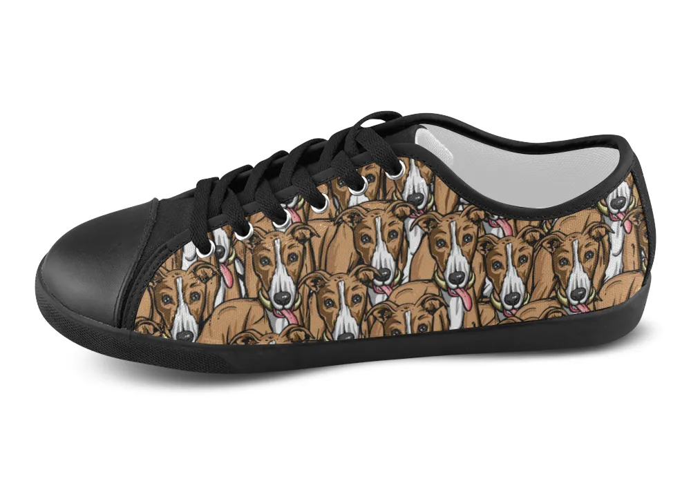 Greyhound Shoes