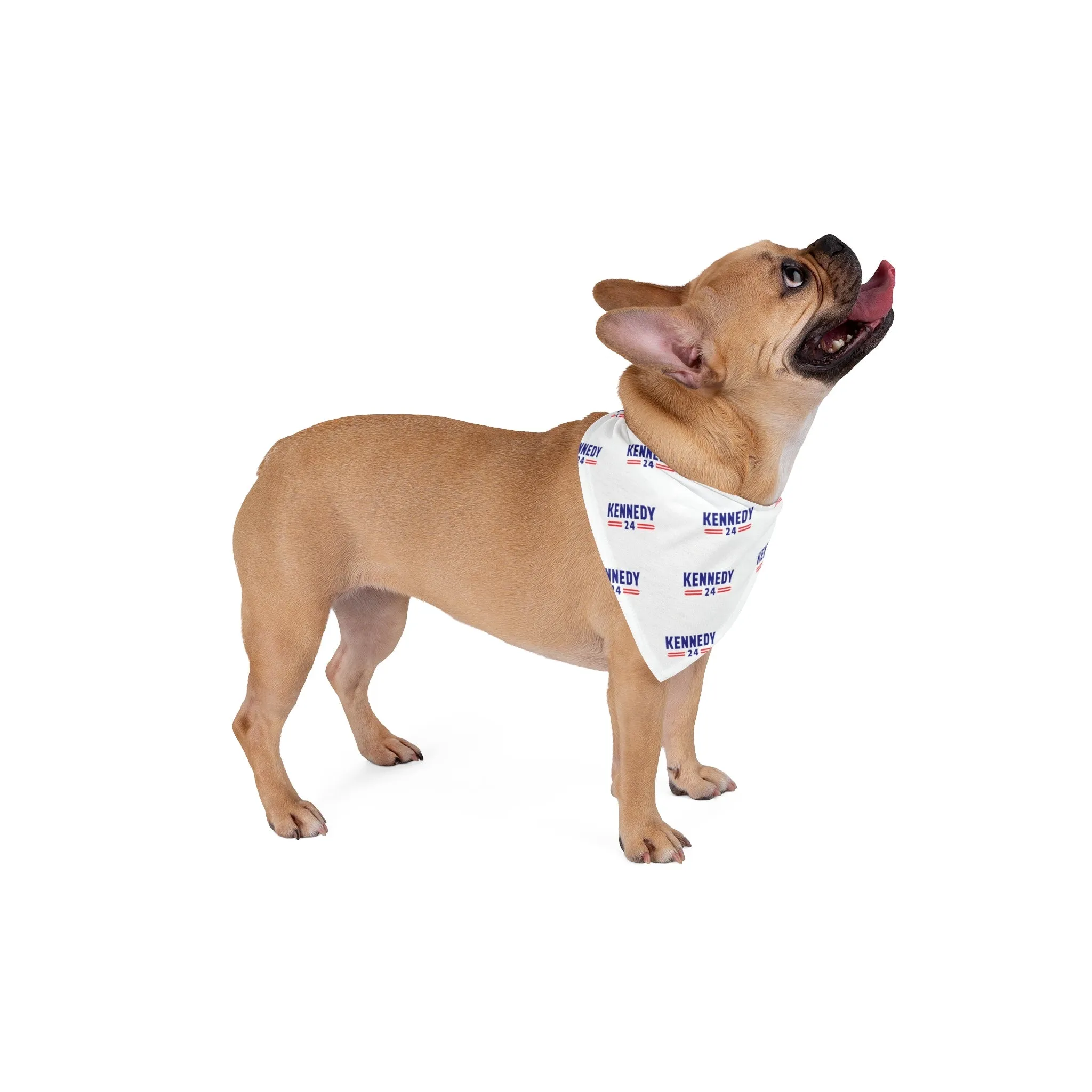 Kennedy Classic Pet Bandana II