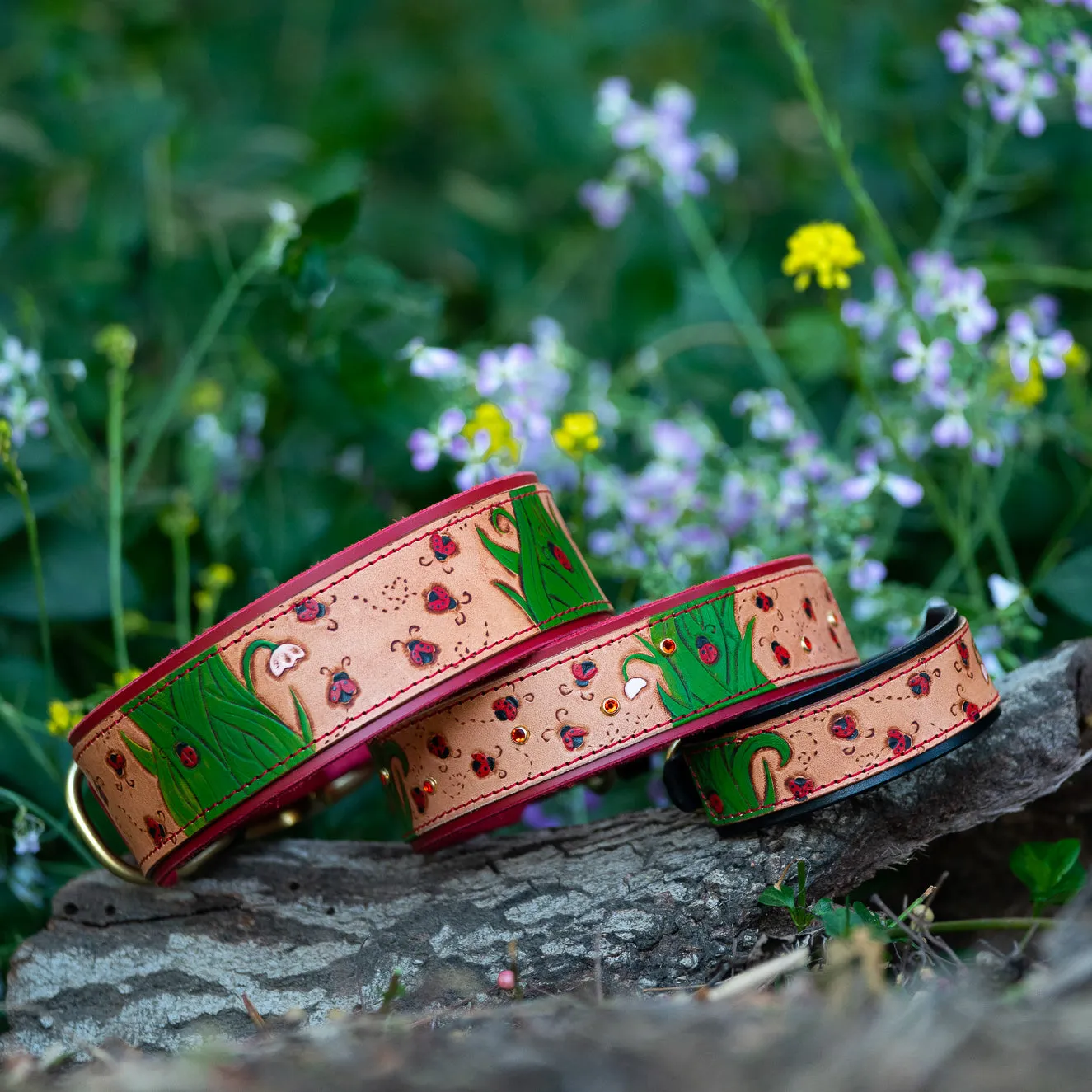 Ladybugs Leather Dog Collar