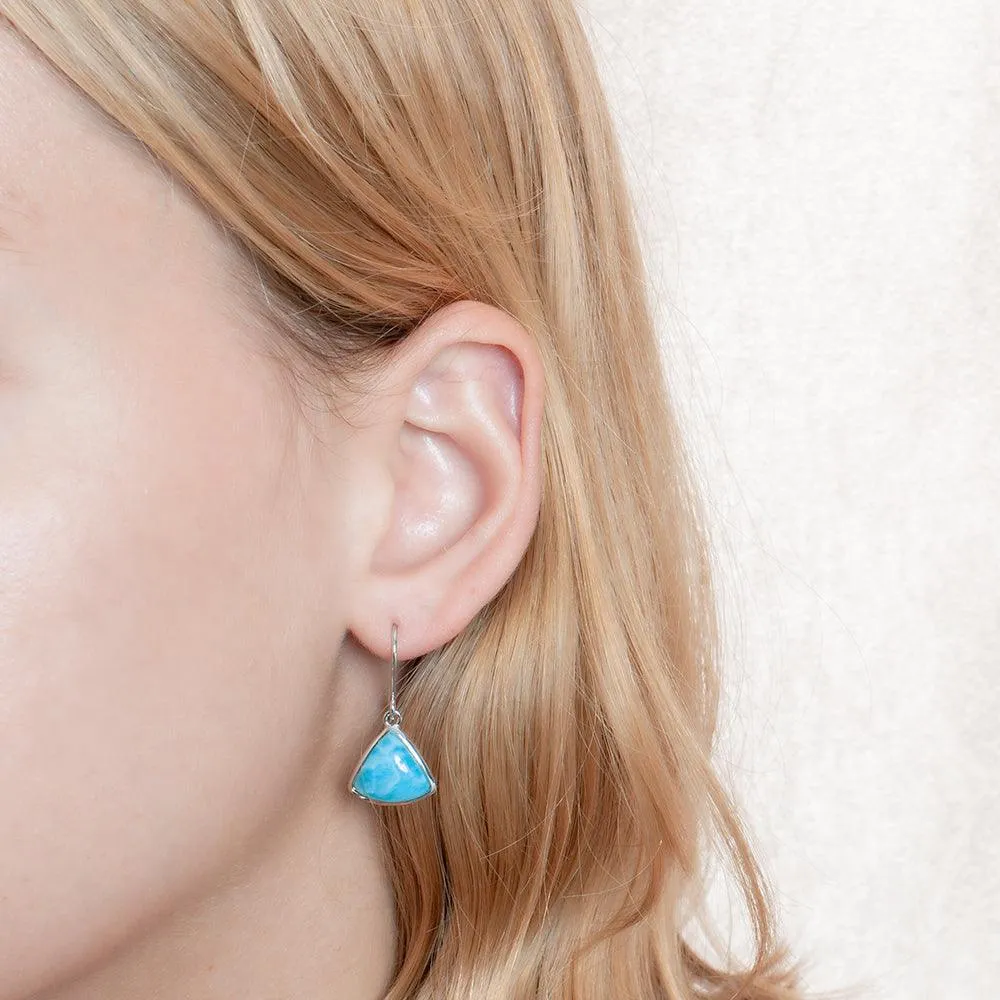 Larimar Reuleaux Hook Earrings