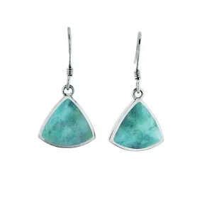 Larimar Reuleaux Hook Earrings